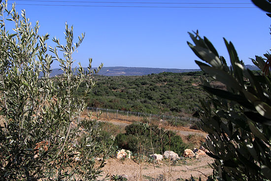 חצר ובריכה